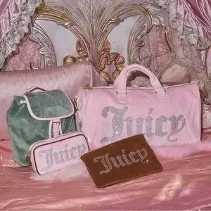 NWT Juicy Couture x Stoney Clover Lane Velour Backpack Juicy Couture X Stoney Clover Lane Velour backpack // WHAT main image 4